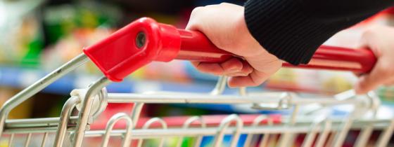 hands on grocery cart - NSF Retail & Food Service